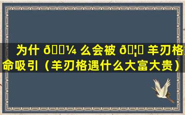 为什 🐼 么会被 🦈 羊刃格女命吸引（羊刃格遇什么大富大贵）